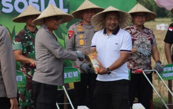 Ketahanan Pangan NTB, Polda dan Pemda Tanam Jagung Serentak di Lombok Barat