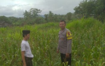 Ketahanan Pangan dan Keamanan Diperkuat di Sekotong Tengah Lewat DDS Bhabinkamtibmas