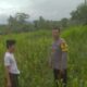 DDS di Dusun Long Longan: Polisi Ajak Petani Manfaatkan Lahan Kosong