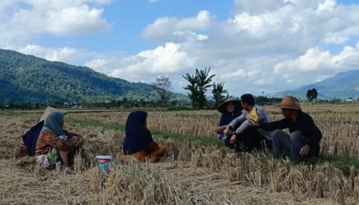 Gerung Bergerak: Polisi Ajak Warga Tanam Jagung untuk Ketahanan Pangan