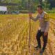 Sinergi Polri dan Petani Dusun Perengge Kuah Dukung Program Pangan Nasional