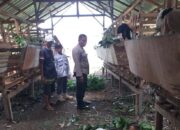 Kuripan Timur Dorong Kemandirian Pangan Lewat Pendampingan Warga