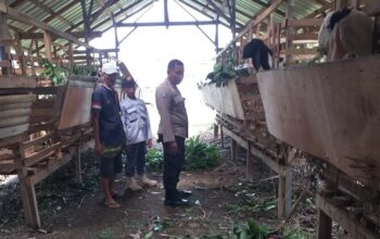 Kuripan Timur Dorong Kemandirian Pangan Lewat Pendampingan Warga