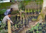 Polri Dorong Ketahanan Pangan dari Pekarangan Warga Kuripan Utara