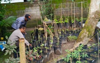 Polri Dorong Ketahanan Pangan dari Pekarangan Warga Kuripan Utara
