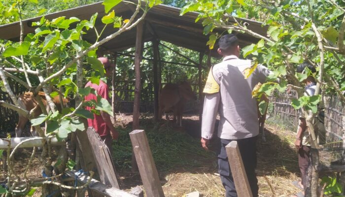 Optimalisasi Lahan Kosong, Polsek Sekotong Dukung Swasembada Pangan