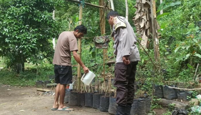 Langkah Nyata Polsek Batulayar Dukung Ketahanan Pangan Rumah Tangga