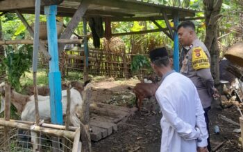 Polsek Batulayar Dorong Ketahanan Pangan Warga Senggigi melalui Edukasi Pertanian
