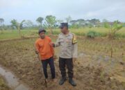 Polsek Kediri Aktif Pantau Ketahanan Pangan dan Lingkungan di Tengah Cuaca Ekstrem