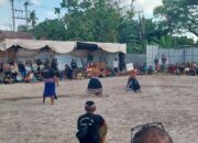 Semarak Peresean 2025 di Bagik Polak Barat, Warga Antusias Dukung Pelestarian Budaya