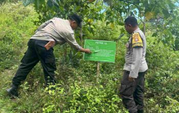 Hutan Lendang Damai Disiapkan untuk Pertanian Polikultur di Lombok Barat