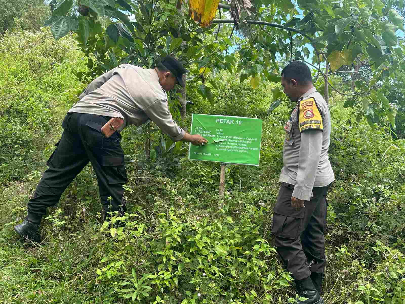 Hutan Lendang Damai Disiapkan untuk Pertanian Polikultur di Lombok Barat