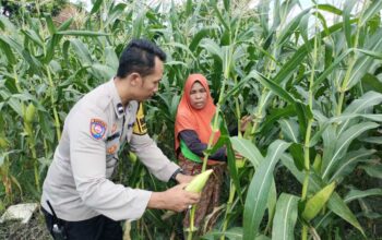 Pekarangan Produktif, Desa Aman: Inisiatif Ketahanan Pangan Bhabinkamtibmas Labuapi