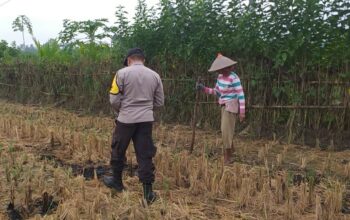 Sinergi Polri dan Warga Jagaraga Kembangkan Ketahanan Pangan Keluarga