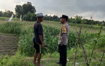 Polri Bina Petani Kuripan Utara Wujudkan Kemandirian Pangan Keluarga