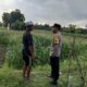 Kuripan Utara Jadi Contoh Penerapan Ketahanan Pangan Rumah Tangga