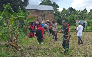 Sinergi Polsek Batulayar dan Warga Sandik Tanam Jagung Dukung Ketahanan Pangan