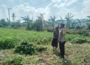 Sinergi TNI-Polri Dukung Ketahanan Pangan di Desa Taman Ayu, Gerung