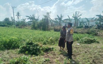 Sinergi TNI-Polri Dukung Ketahanan Pangan di Desa Taman Ayu, Gerung