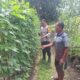 Wujudkan Ketahanan Pangan, Bhabinkamtibmas dan Warga Desa Luk Ubah Pekarangan Jadi Kebun Produktif