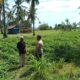 Kunjungi Petani di Sekotong, Polri Tekankan Pemanfaatan Lahan Demi Kedaulatan Pangan
