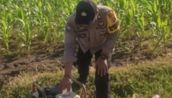 Petani Jagung Manis Karang Bongkot Dapat Dukungan Kepolisian untuk Ketahanan Pangan