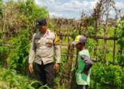 Bhabinkamtibmas di Labuapi dan Warga Bersinergi Jaga Ketahanan Pangan Nasional