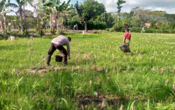 Dukung Ketahanan Pangan, Bhabinkamtibmas Kuripan Ajak Warga Manfaatkan Lahan Produktif