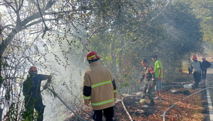 Babinsa Malaka Sigap Dampingi Warga Atasi Kebakaran Lahan