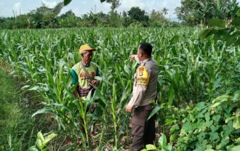 Menjaga Ketahanan Pangan, Bhabinkamtibmas Labuapi Ajak Warga Manfaatkan Lahan Kosong