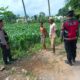 Patroli Ketahanan Pangan di Kecamatan Gerung: Dukungan Polri untuk Petani Jagung