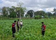Polres Lombok Barat Dampingi Petani Gerung Utara, Dukung Swasembada Pangan