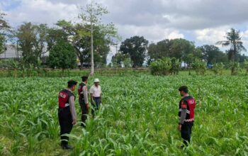 Polres Lombok Barat Dampingi Petani Gerung Utara, Dukung Swasembada Pangan