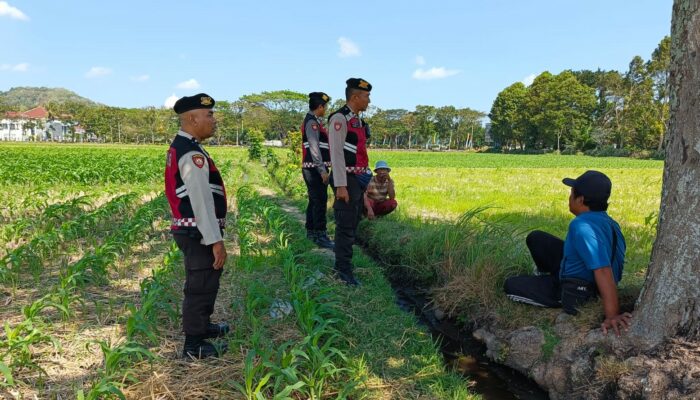 Samapta Polres Lobar Dukung Swasembada Pangan di Gerung