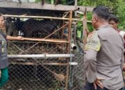 Sinergi Polisi dan Warga Krandangan: Optimalkan Lahan Kosong Jadi Sumber Pangan