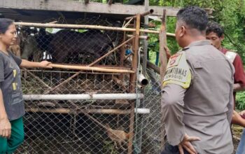 Sinergi Polisi dan Warga Krandangan: Optimalkan Lahan Kosong Jadi Sumber Pangan