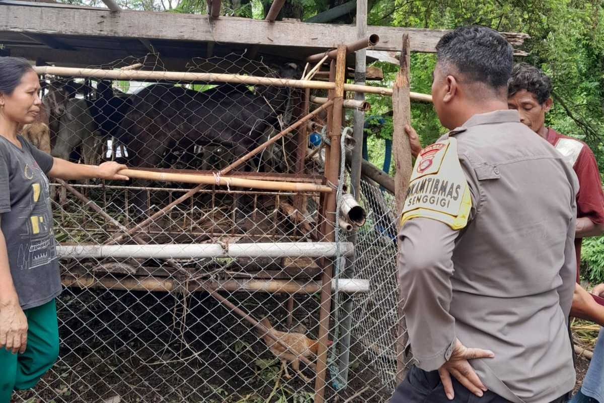 Sinergi Polisi dan Warga Krandangan: Optimalkan Lahan Kosong Jadi Sumber Pangan