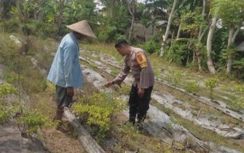 Polsek Labuapi Ajak Warga Desa Kuranji Wujudkan Kemandirian Pangan Lewat Pertanian Pekarangan