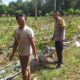 Sinergi Polri dan Petani Batu Putih Perkuat Ekonomi Lokal Sekotong