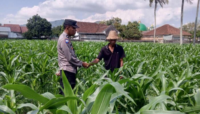 Polisi dan Warga Desa Kuripan Bersinergi Wujudkan Ketahanan Pangan Lokal