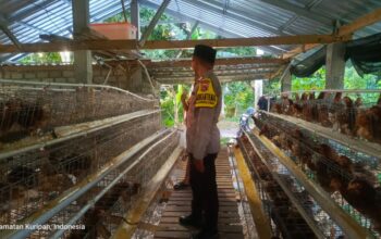 Polres Lombok Barat Perkuat Sinergi dengan Warga Kuripan Utara dalam Program Ketahanan Pangan