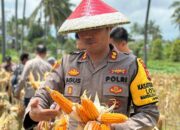 Dukung Asta Cita Presiden, Polres Lombok Utara Sukses Gelar Panen Raya Jagung di Kayangan