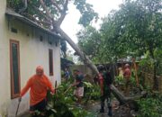 Aksi Tanggap Babinsa Jagaraga Saat Bencana Alam Melanda