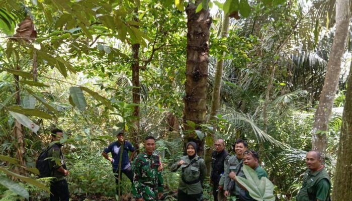 Sinergi Babinsa dan Polhut Amankan Kawasan Hutan Pusuk